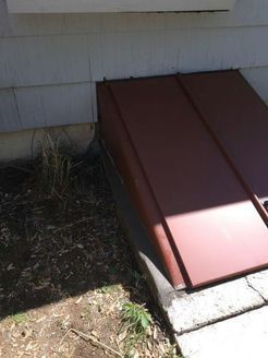 Brown basement door next to a house's white siding. Grassy area and concrete step in front.