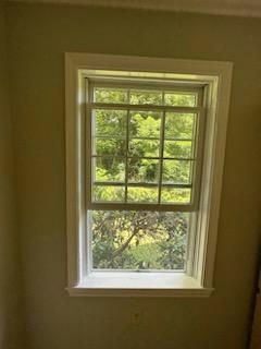 White-framed window in a room with green walls, view of green trees outside.