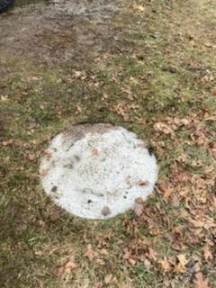 Concrete circular septic tank cover in a grassy area with fallen leaves.