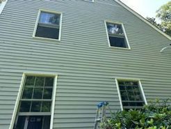 Green-sided house with four windows. A ladder rests against the wall near bushes.