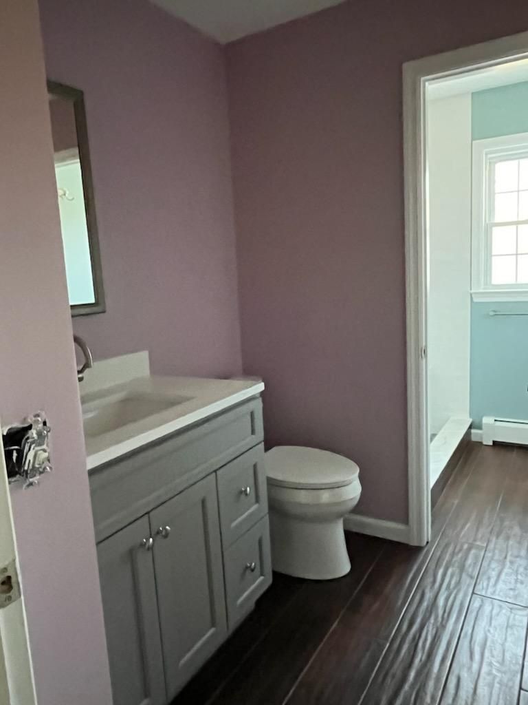 Bathroom with lavender walls, gray vanity, and wood-look floor. A door leads to a blue-walled shower area.