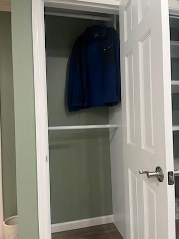 Open closet with white door and green walls; a blue jacket hangs inside.