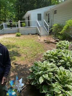 Backyard with a house, deck, ramp, and large hosta plants. Person standing.