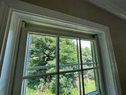 Window with white frame, showcasing green trees outside.