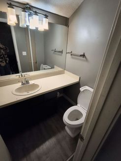 Bathroom with a white toilet, vanity, and gray walls.