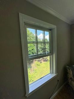 White-framed window with a grid pattern, showing an outside view of trees and greenery.
