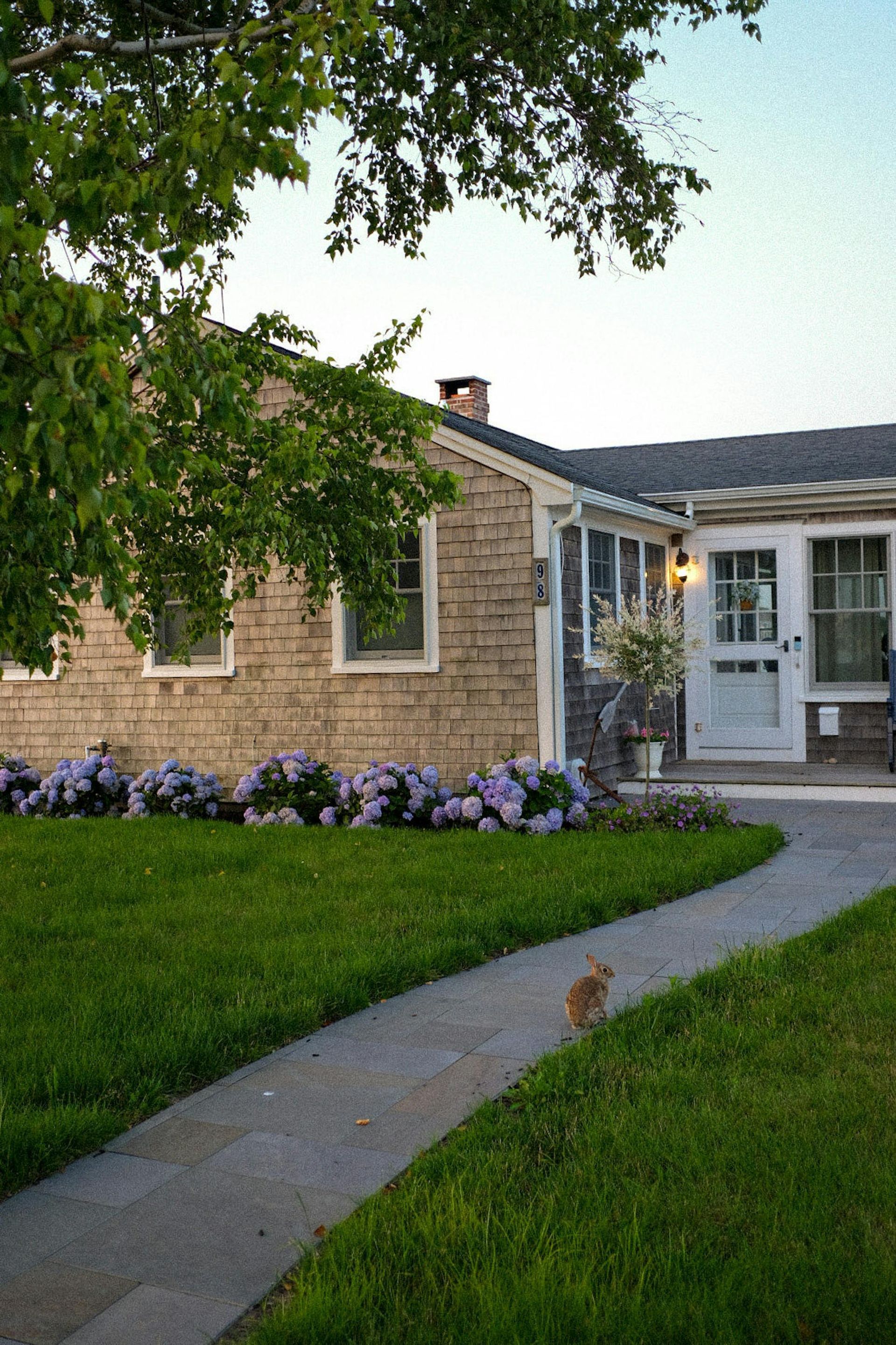 A house with light brown siding, a green lawn with a cat, and a walkway lined with flowers.