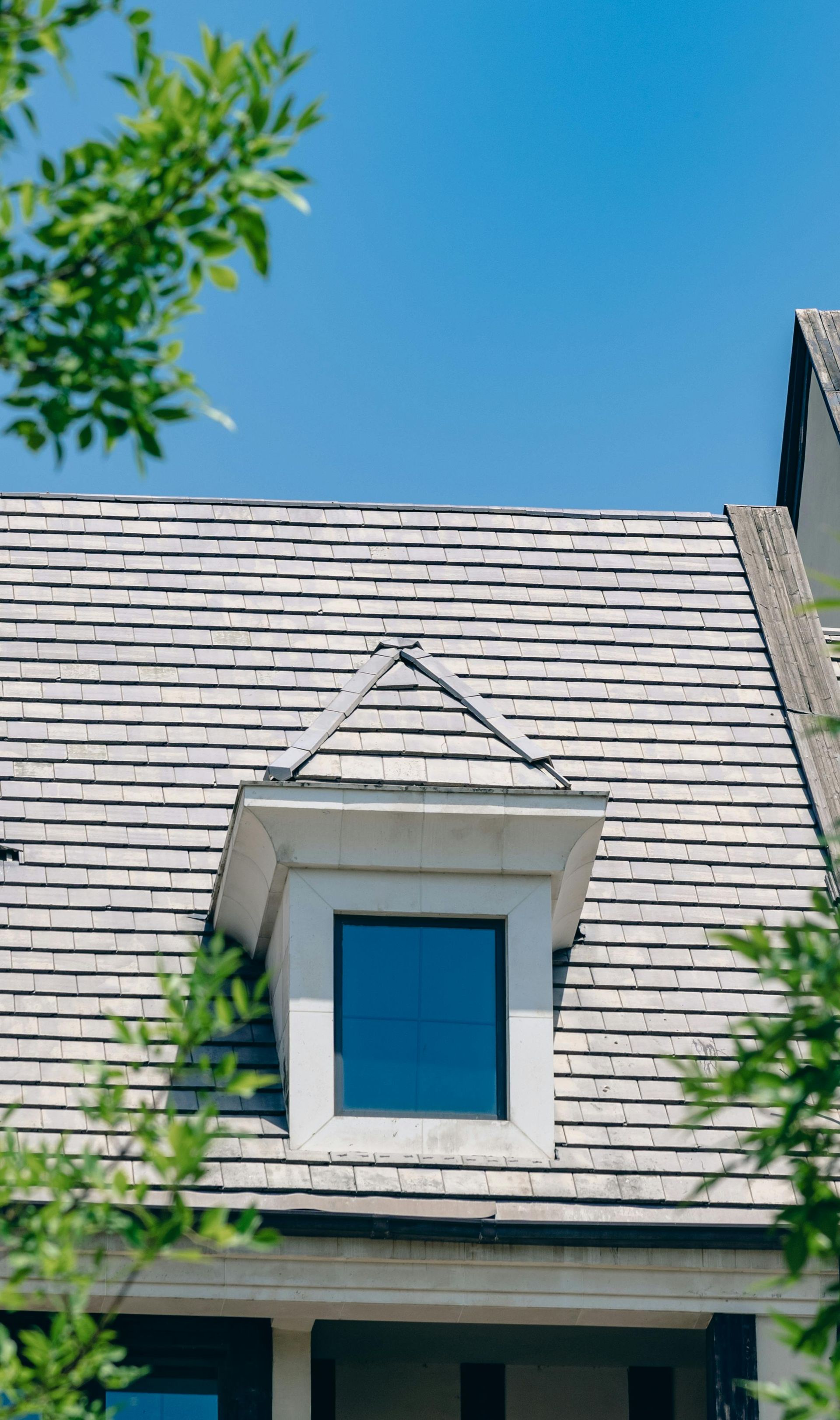 Dormer window on a gray shingle roof under a bright blue sky, framed by green tree leaves.