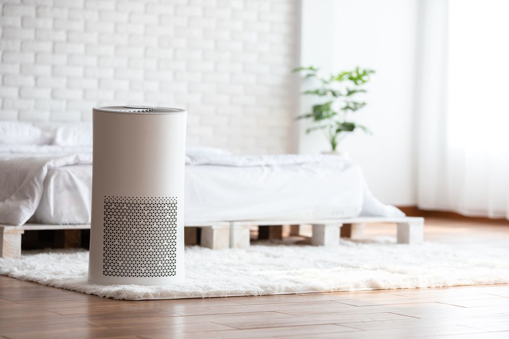 White air purifier in a modern bedroom with a bed, rug, and plant.
