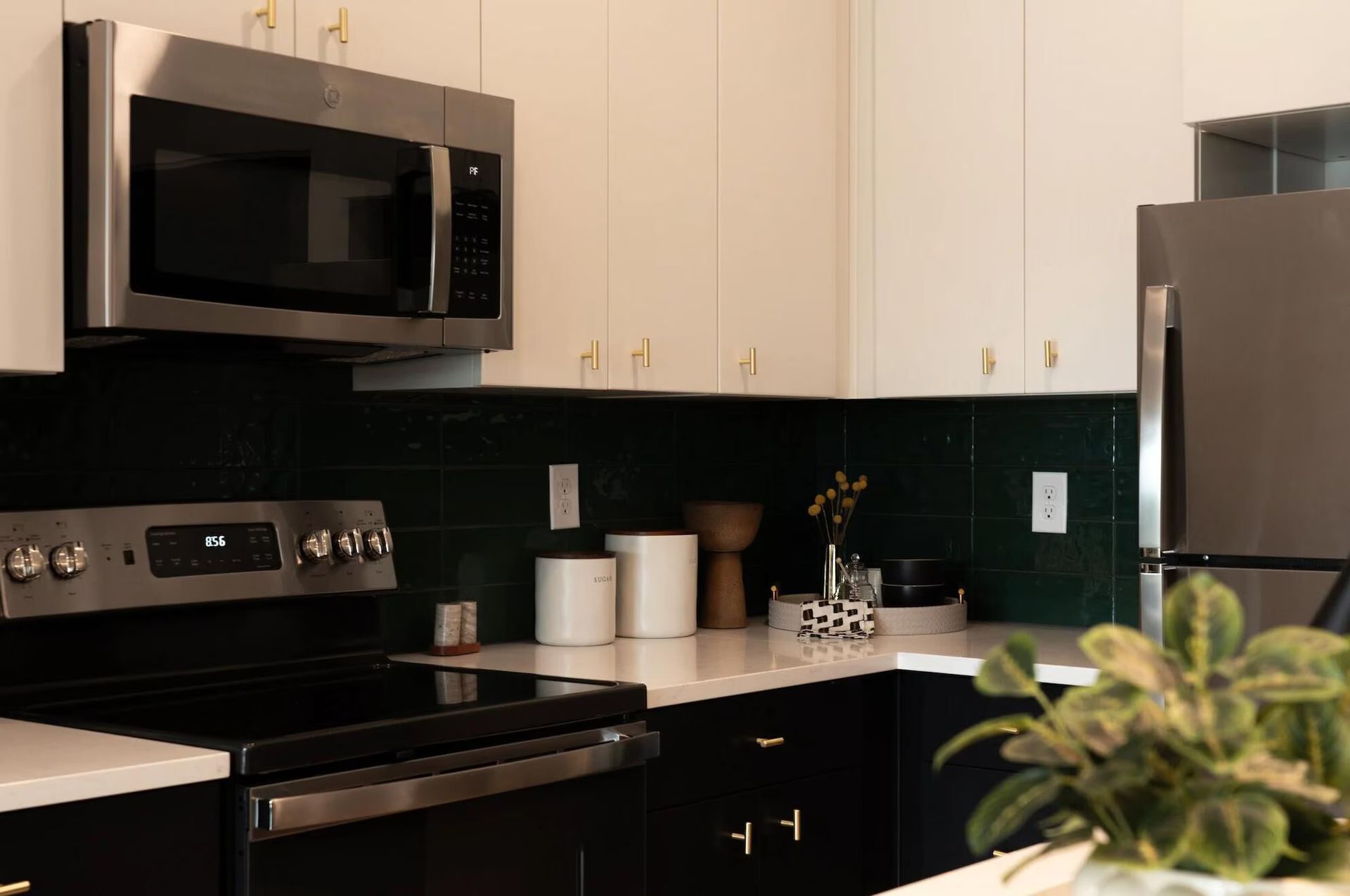 blank transparent image