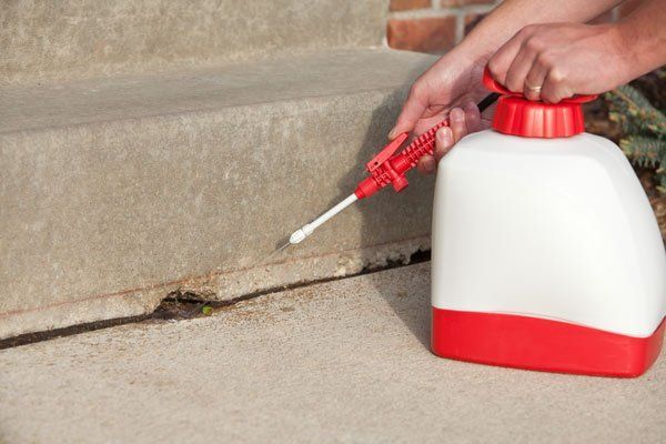 Person Spraying Chemicals — Stockton, CA — Area Wide Exterminators