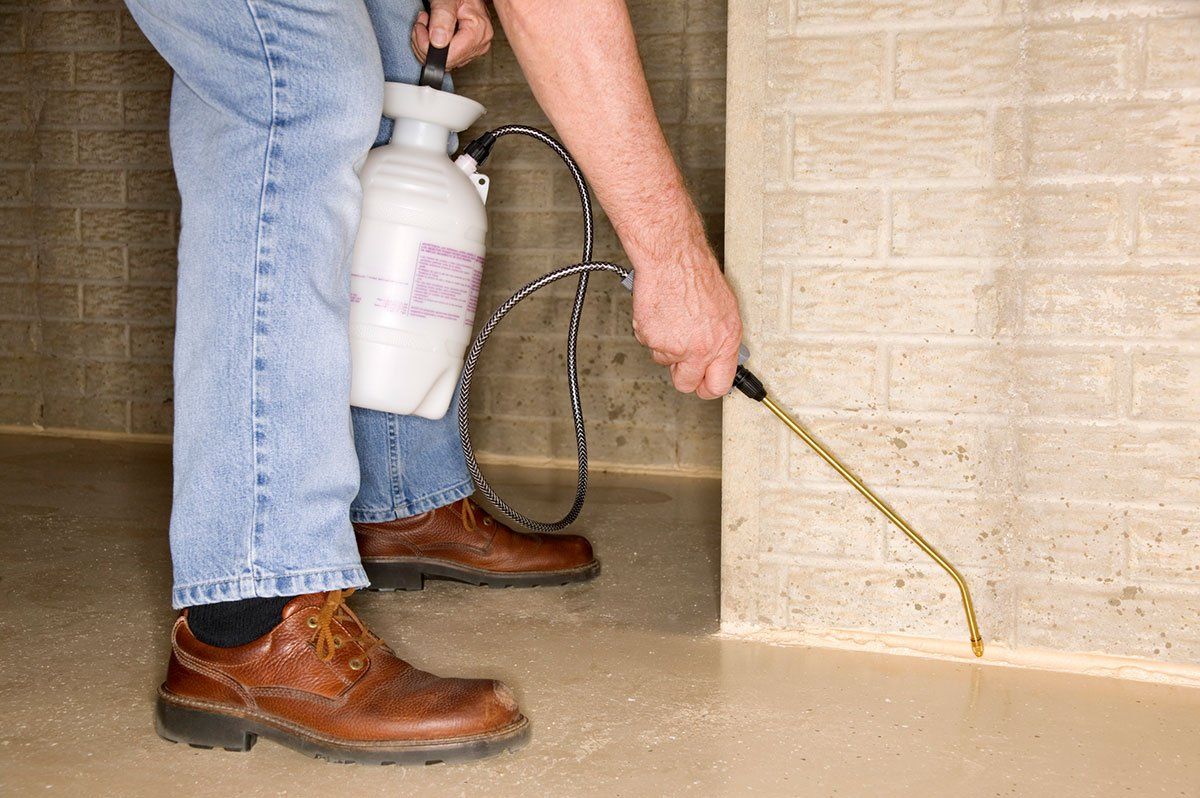 Man Spraying Crevices — Stockton, CA — Area Wide Exterminators