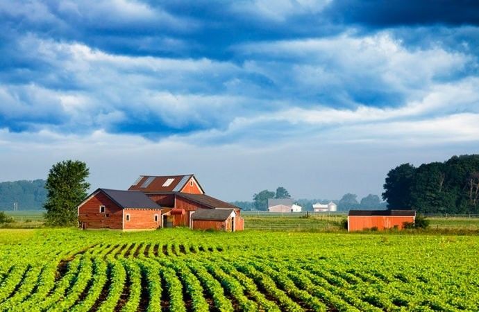 Regularização de imóvel rural ( CCIR , ADA e ITR )