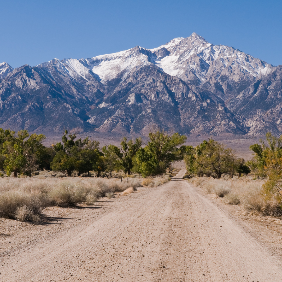 A dirt road in the desert with mountains in the background