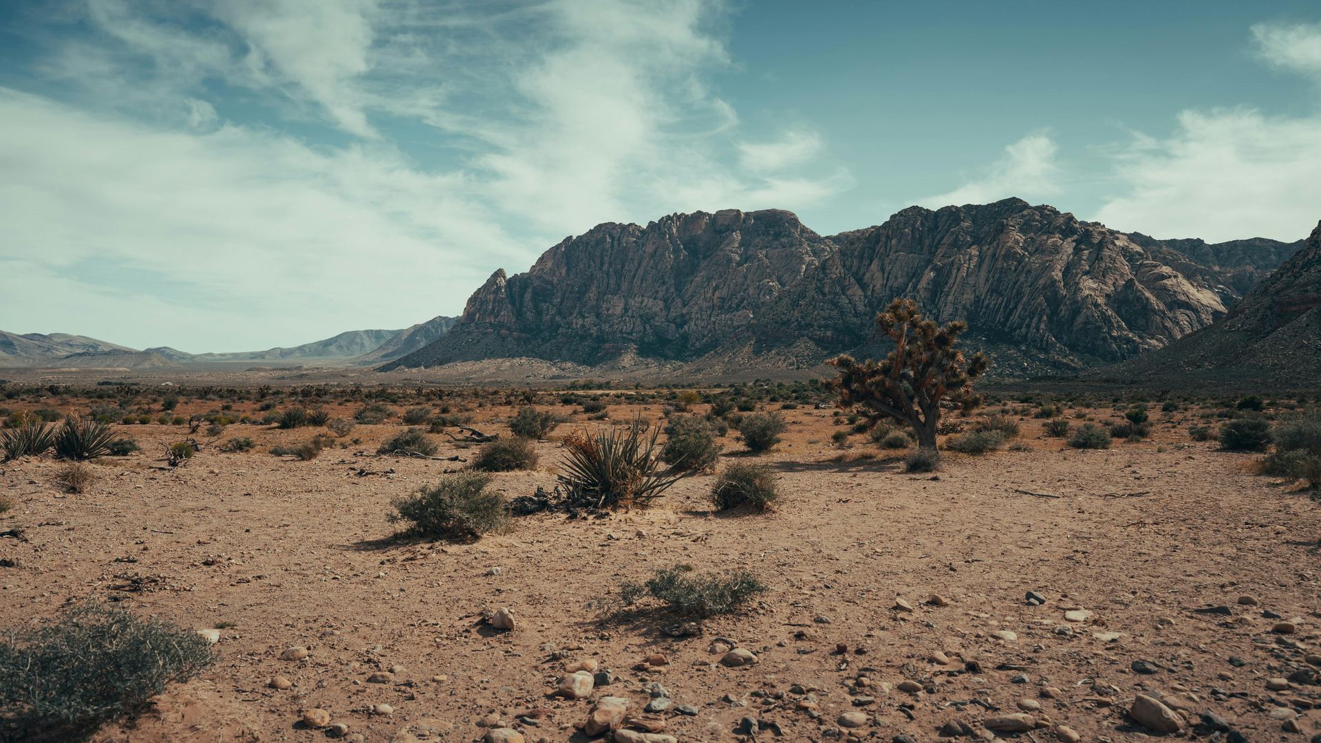 A desert landscape with mountains in the background and a tree in the foreground.