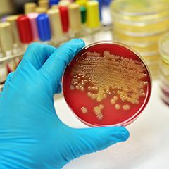 Centro di analisi cliniche con macchinari all'avanguardia