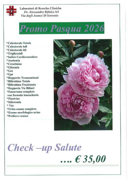 Volantino per una conferenza sulla Madonna di Guadalupe tenuta dal dott. Alessandro Bifulco a Piano di Sorrento, Italia.