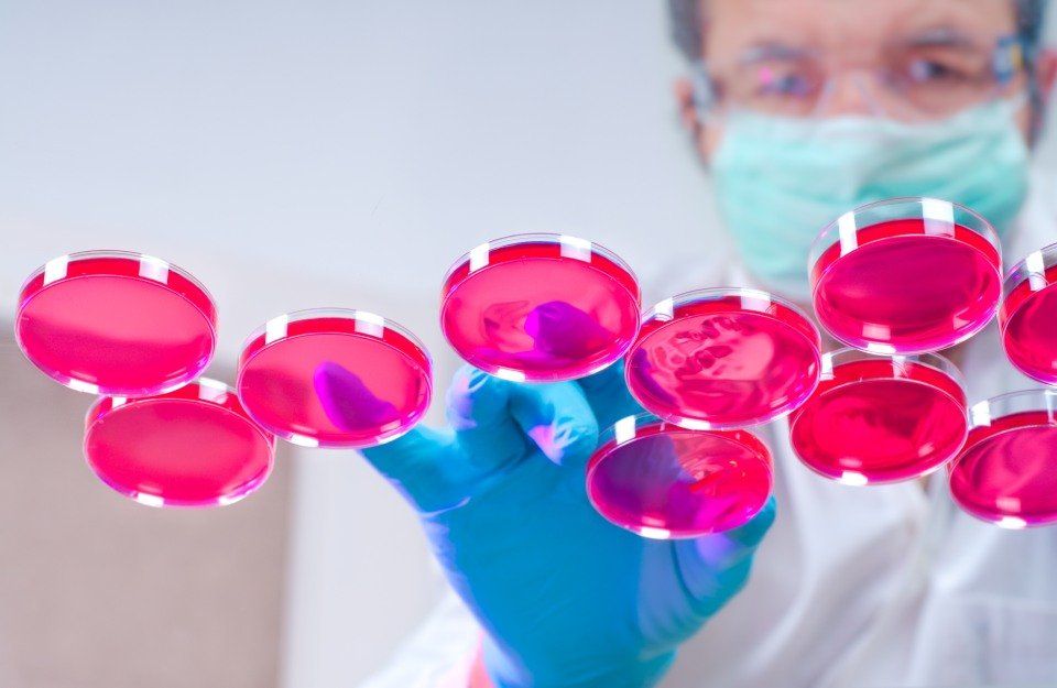 analisi campioni in centro analisi a Sorrento