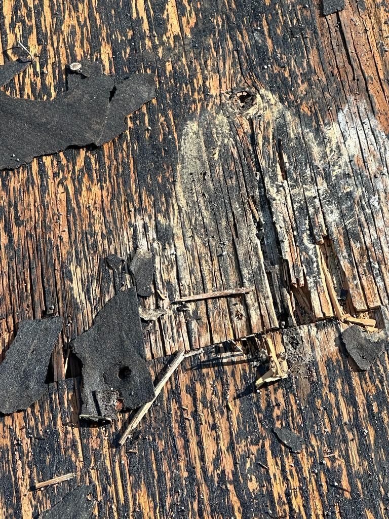 A close up of a piece of wood with nails sticking out of it.