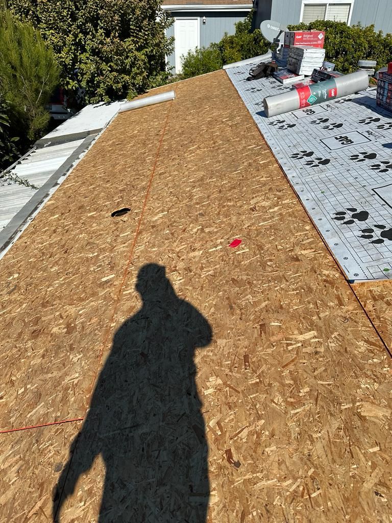 A shadow of a person is cast on the roof of a house.