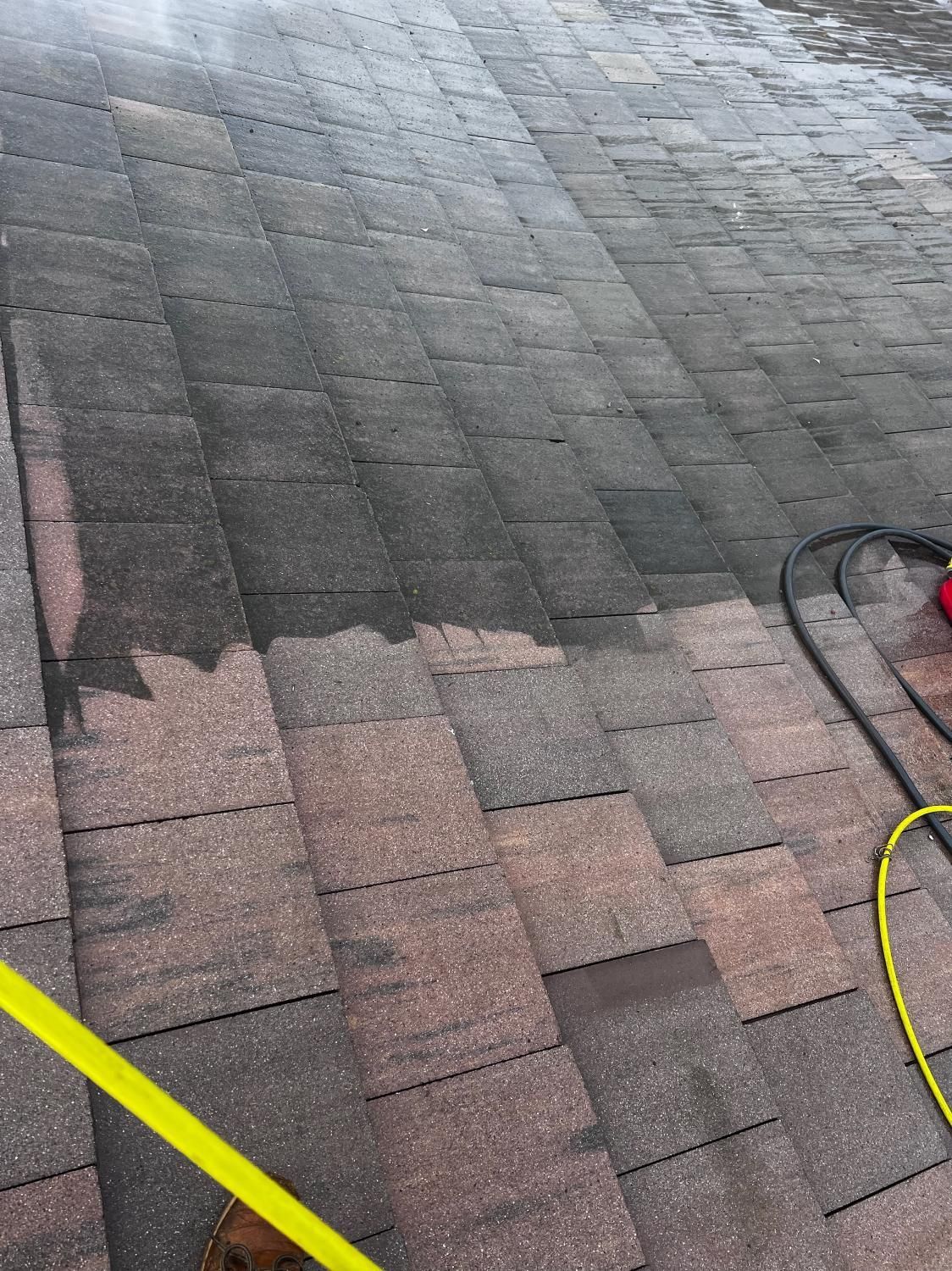 A person is cleaning a brick walkway with a pressure washer.