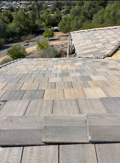 A view of a tiled roof with varying shades of gray and brown tiles, with a natural landscape in the background.
