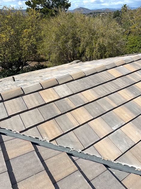 Tile roof with tan and gray tiles, with trees and a distant mountain in the background.