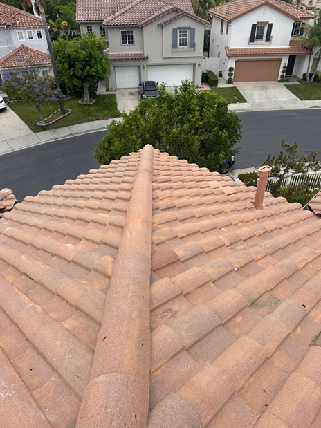 Clay tile roof with ridge cap, houses in the background, outdoor daylight.