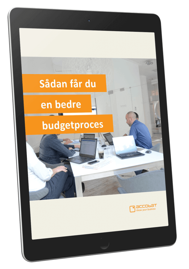 Budgetproces