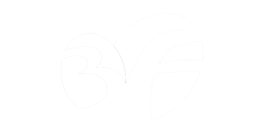 3f logo