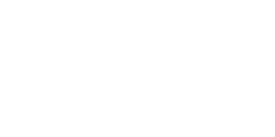 Aalborg Universitet logo