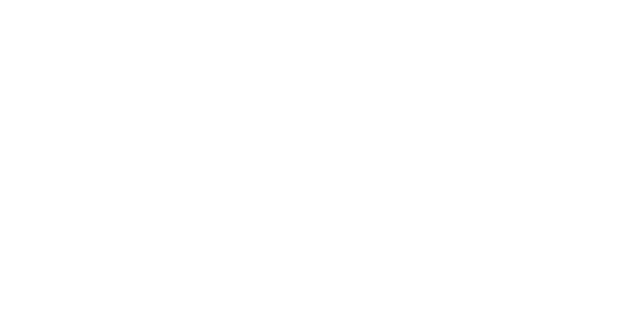 e-conomics logo