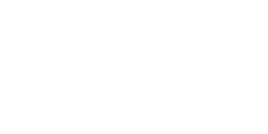 EPINION logo