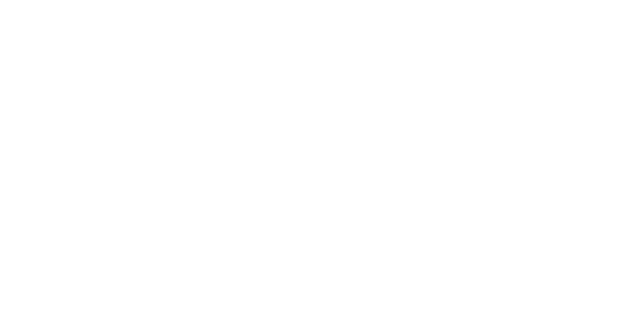 FORCE TECHNOLOGY