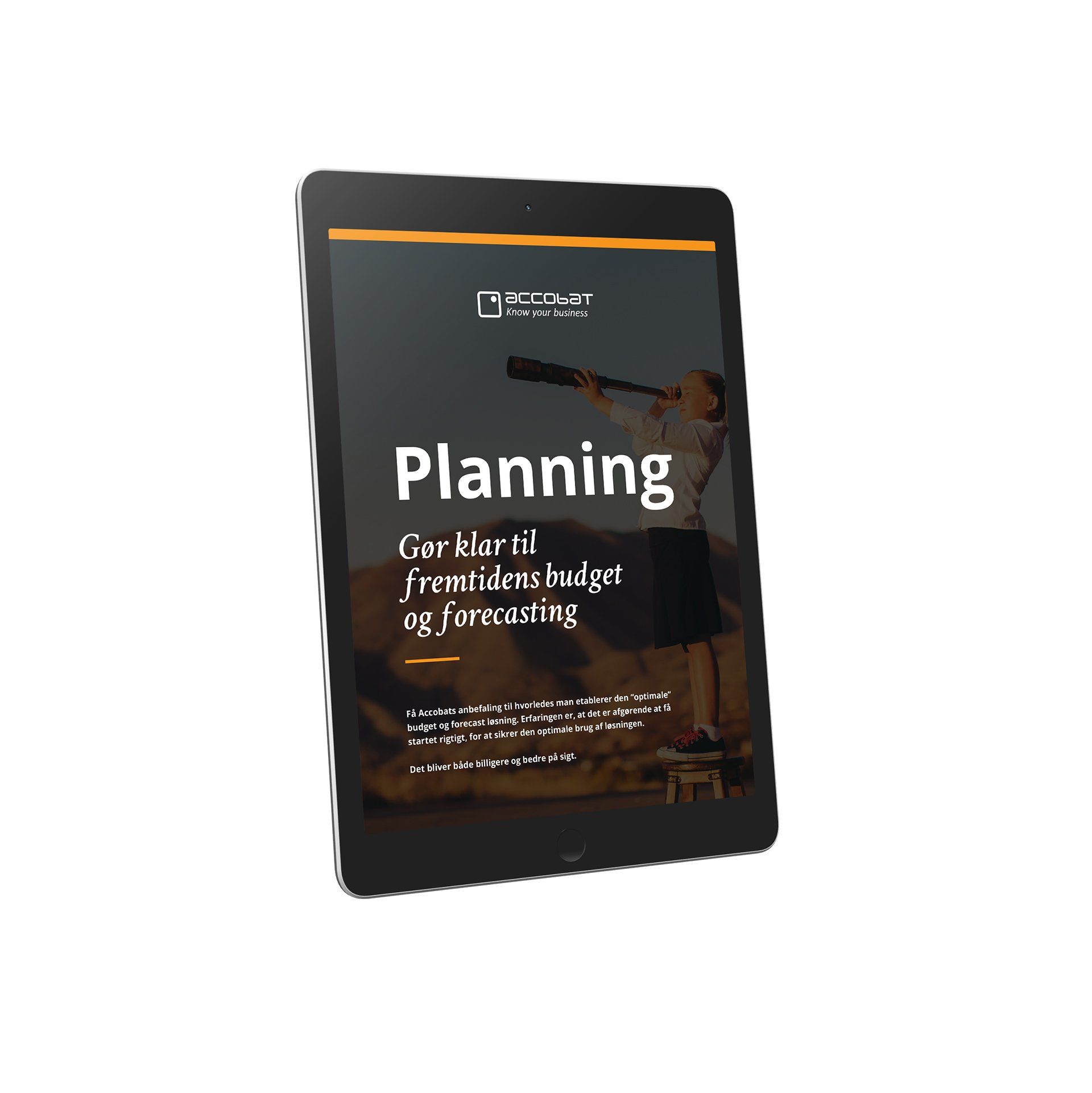 Fremtidens Budget & Forecasting