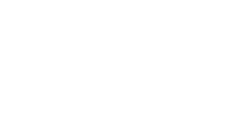 IBM logo