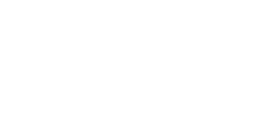 NNIT logo