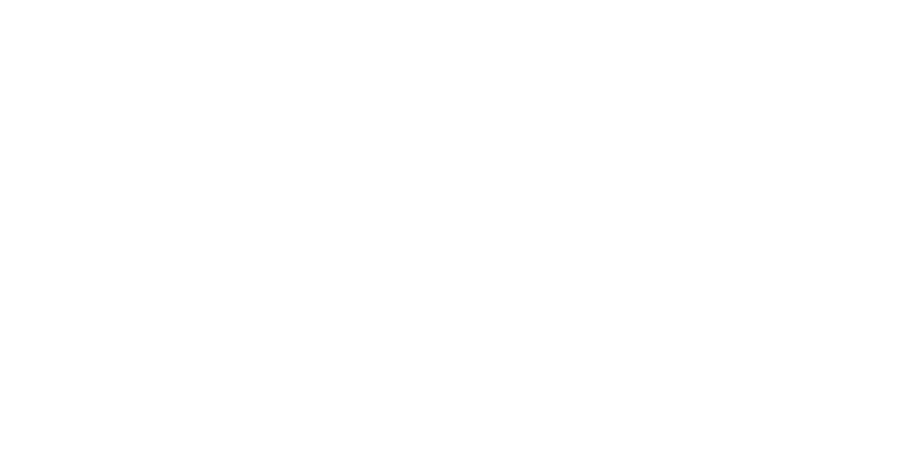 Sportigan logo