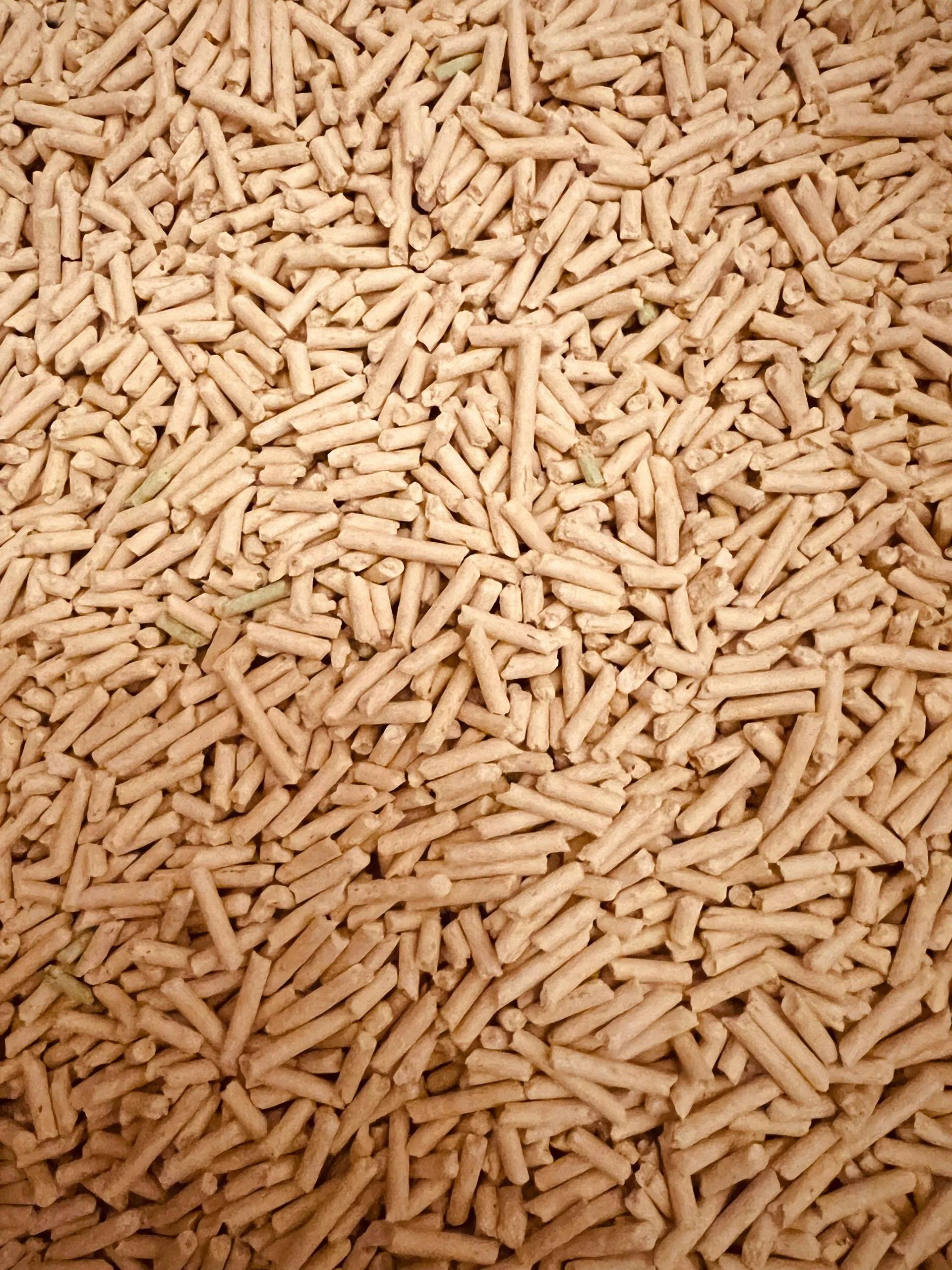 A top-down view of light tan, cylindrical wood pellets used for fuel, animal bedding, or litter.