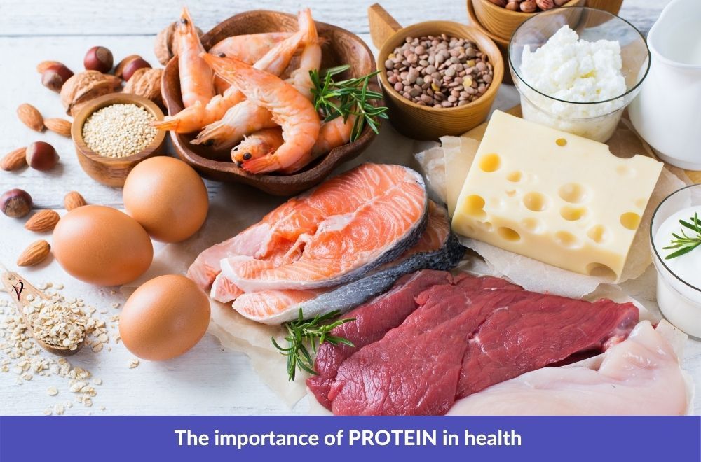 Header image for Why You Should Eat More Protein Blog