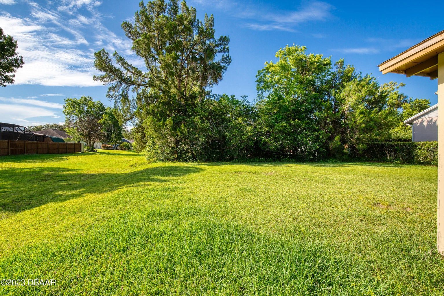 a lush green yard with trees and a house in the background