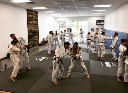 Ongoing Brazilian Jiu-Jutsu Class — Arden, NC — Mountain Division Brazilian Jiu-Jitsu