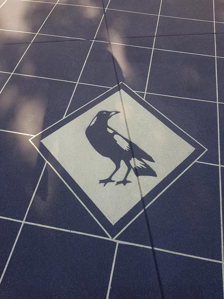 A Silhouette Of A Bird In A Square On A Tiled Floor — Custom Concrete Finishes In Thurgoona, NSW