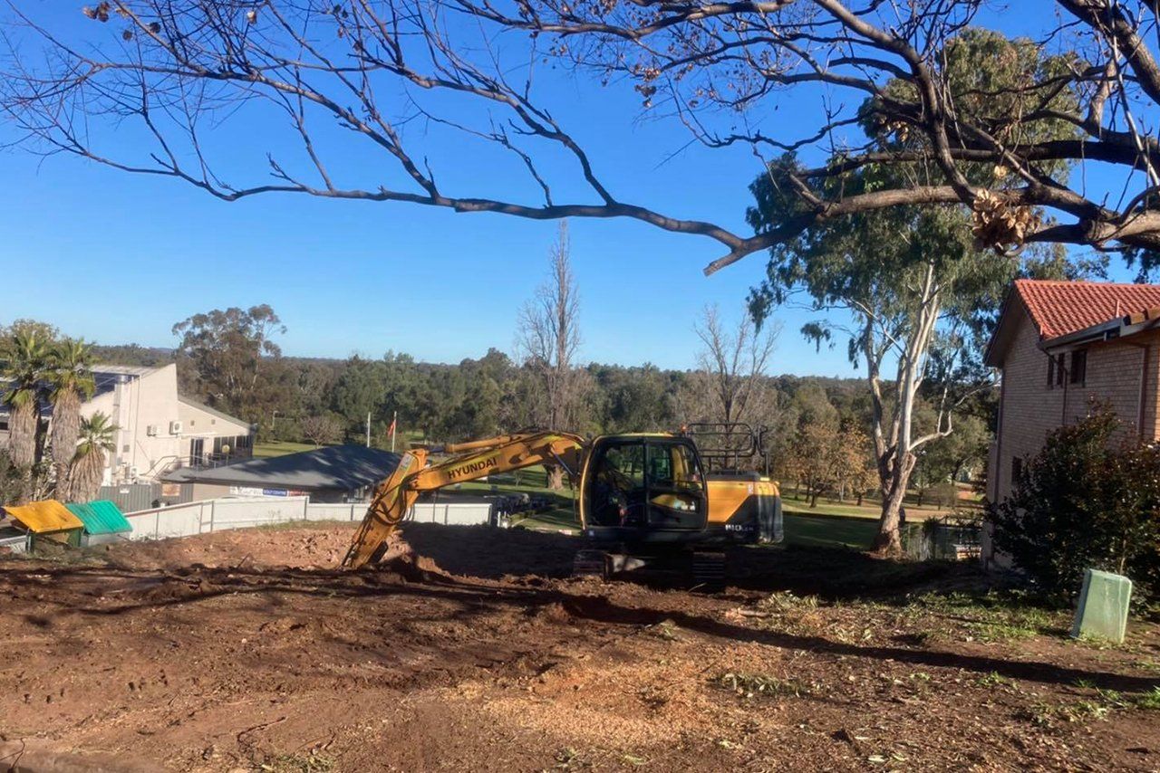 Land Clearing in Dubbo Region | Arbortec Tree Service