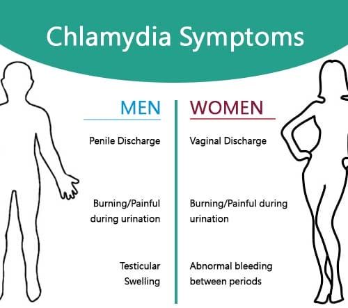 Chlamydia symptoms