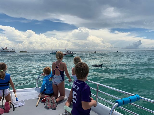 CHildren watching the dolphins from Osprey Charters boat