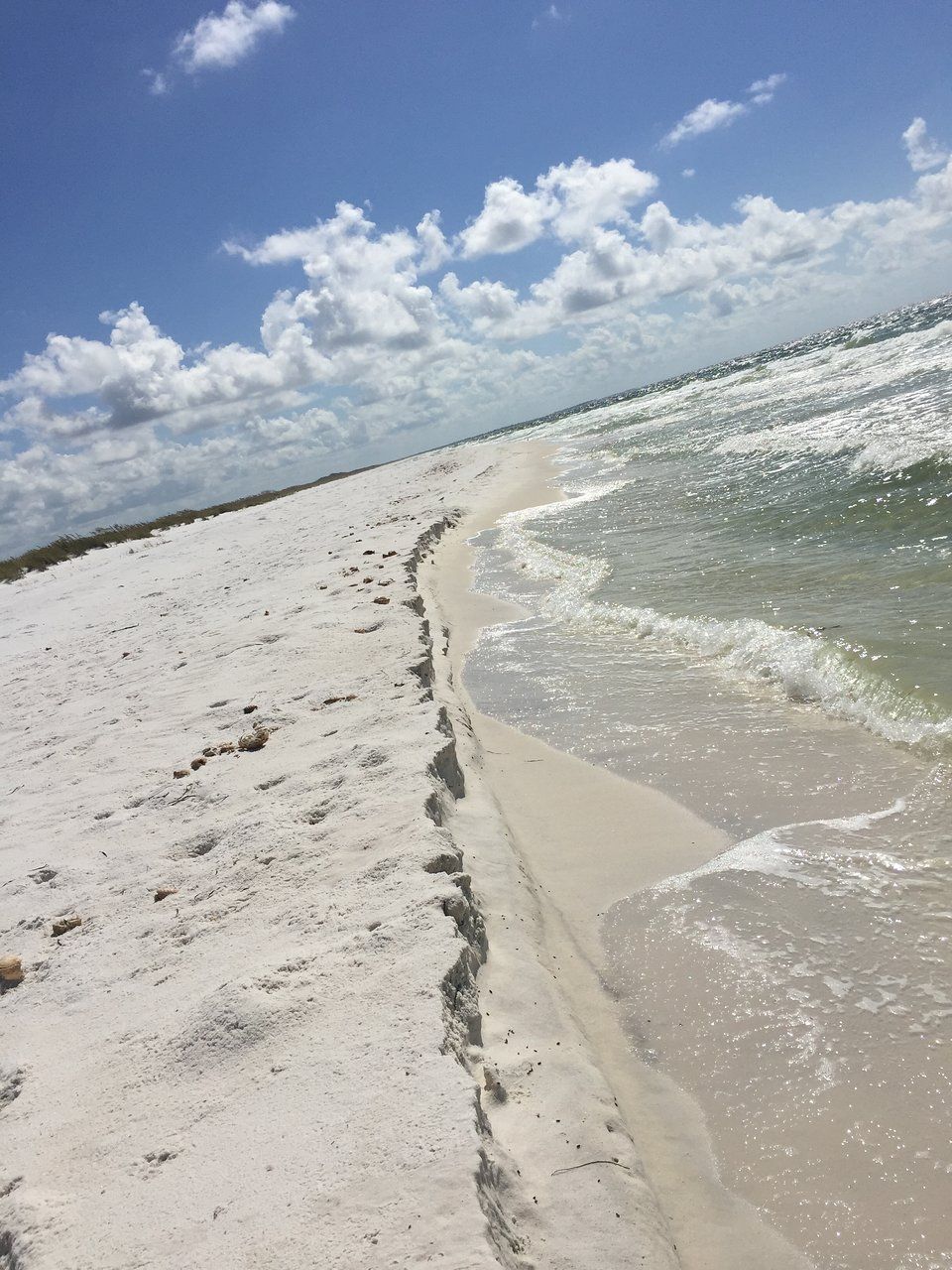 Shell Island Sightseeing Tourn