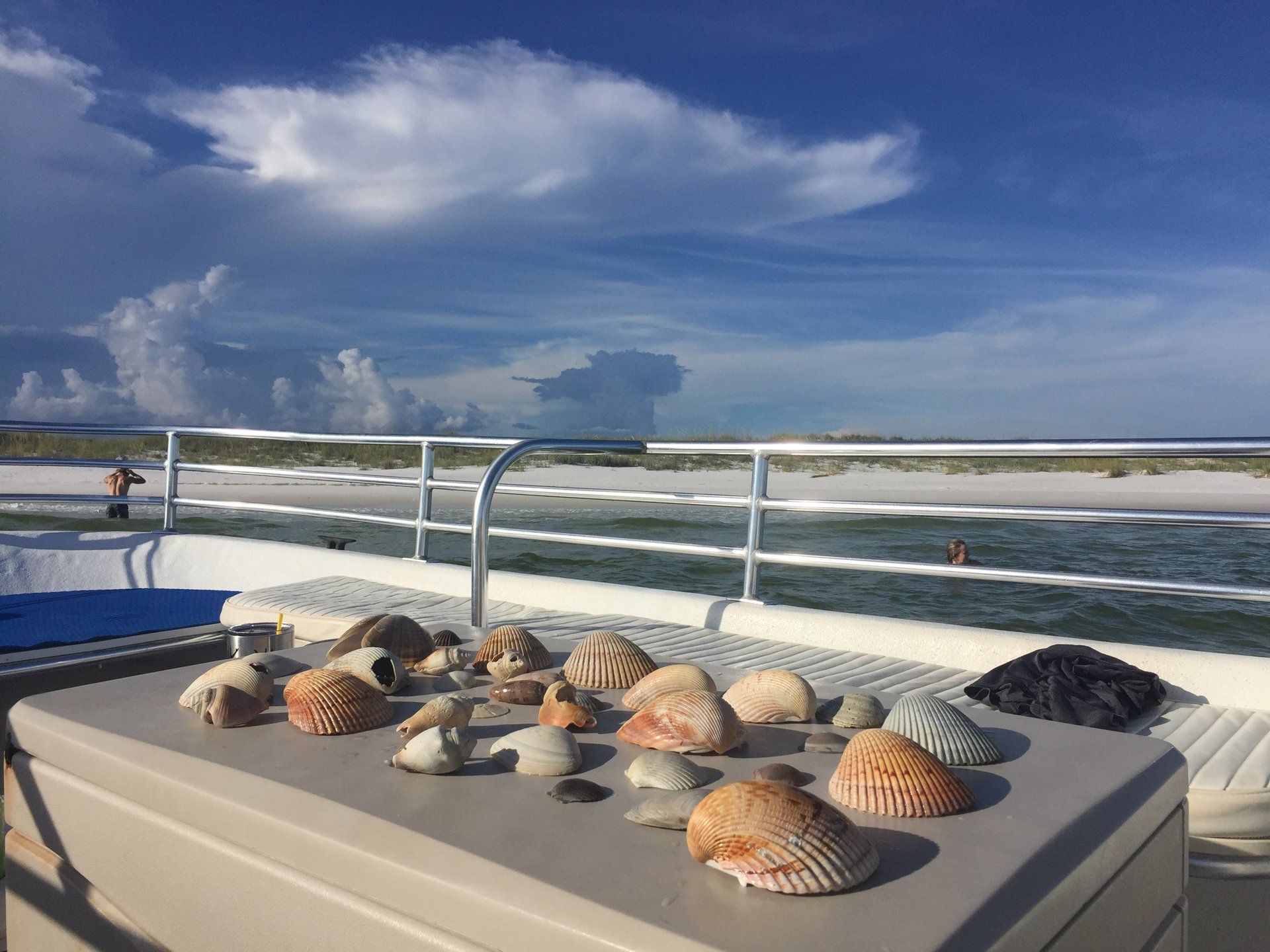 Osprey Charters Dolphin & Shell Island Tours