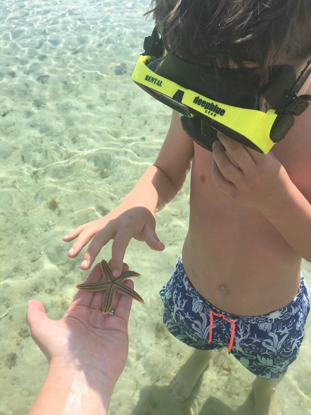 Shell ISland Sighseeing