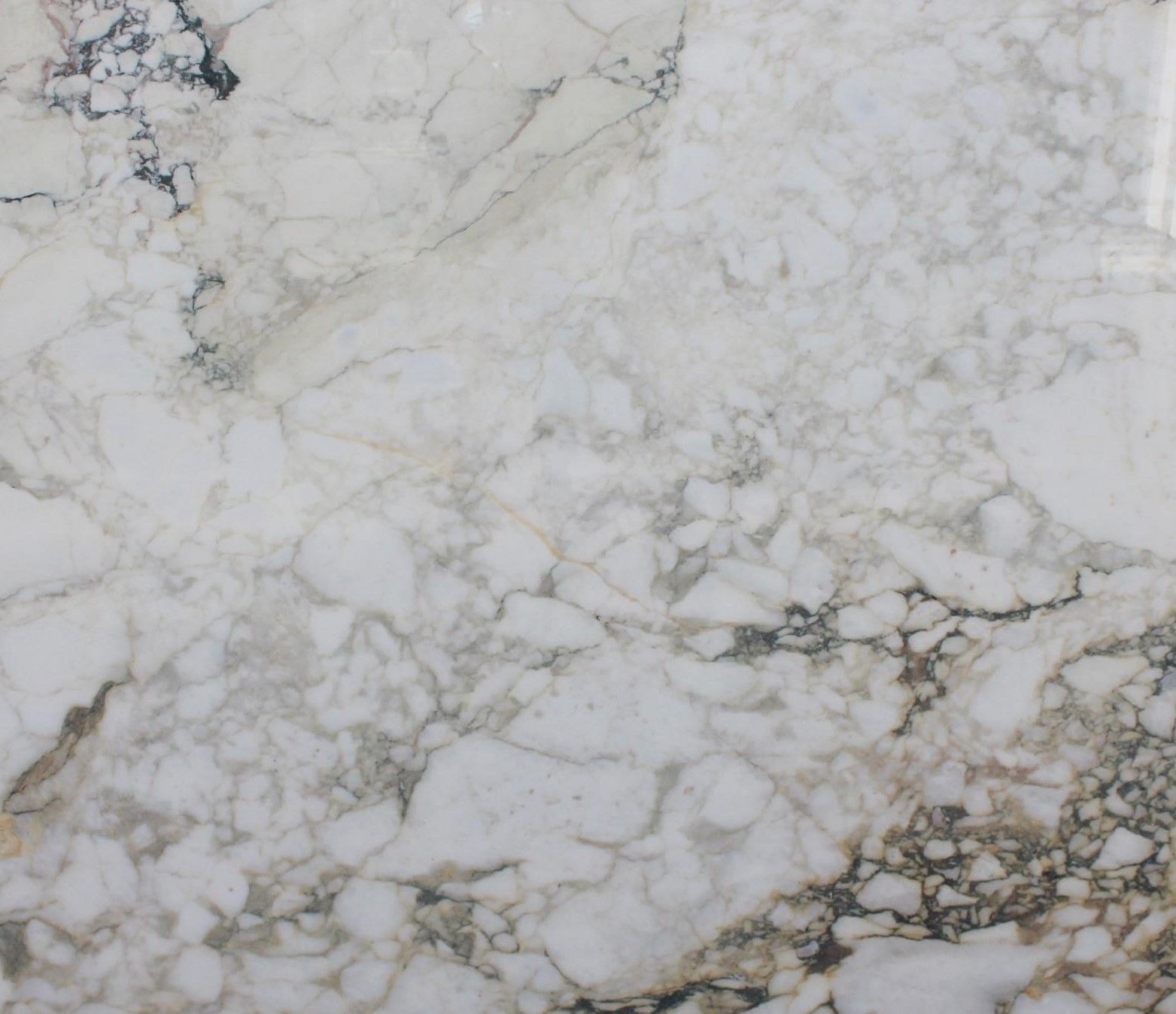  Calacatta Monet Marble